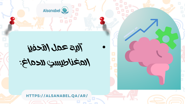 آلية عمل التحفيز المغناطيسي للدماغ: