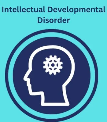 Intellectual-Developmental-Disorder