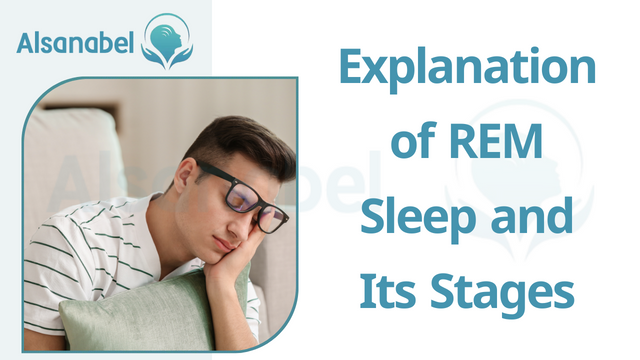 Understanding REM Sleep Behavior Disorder 2024 Alsanabel   2 2 